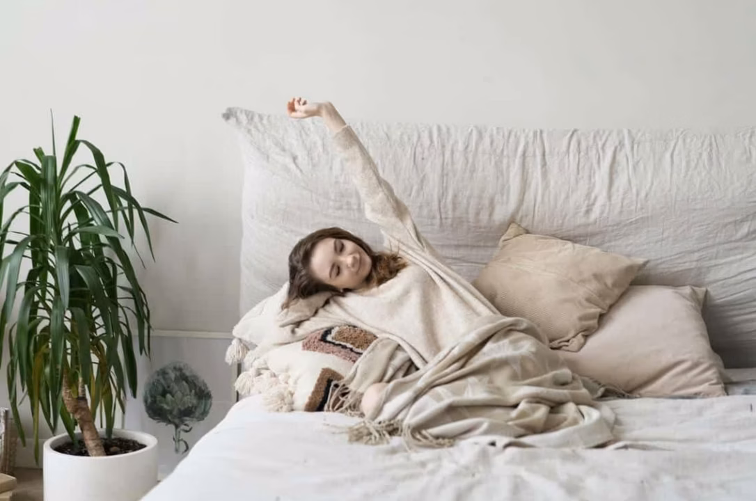 Lingerie confortable féminine : confort et élégance